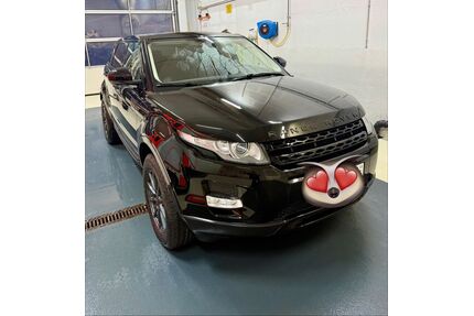 Land Rover Range Rover Evoque Gebrauchtwagen