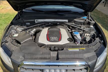 Audi SQ5 Gebrauchtwagen