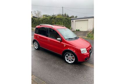 Fiat Panda Gebrauchtwagen