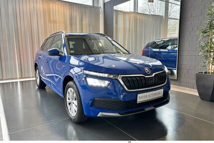 Skoda Kamiq Gebrauchtwagen