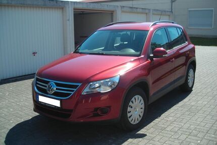VW Tiguan Gebrauchtwagen