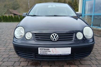 VW Polo Gebrauchtwagen