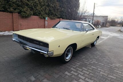 Dodge Charger Gebrauchtwagen