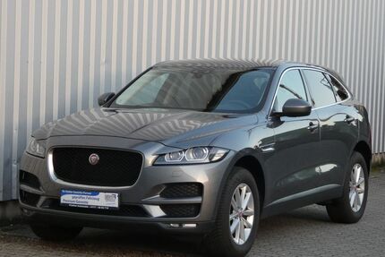 Jaguar F-Pace Gebrauchtwagen