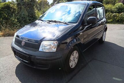 Fiat Panda Gebrauchtwagen