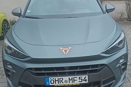 Cupra Terramar Gebrauchtwagen