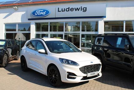 Ford Kuga Gebrauchtwagen