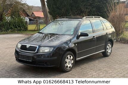Skoda Fabia Gebrauchtwagen