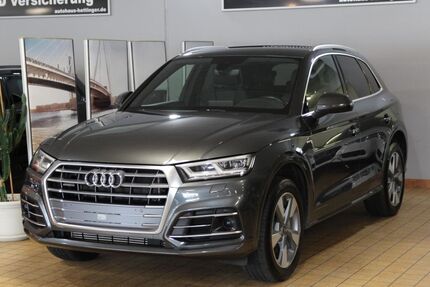 Audi Q5 Gebrauchtwagen