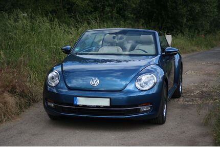 VW Beetle Gebrauchtwagen