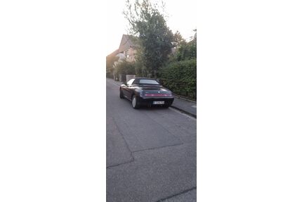 Alfa Romeo GTV Gebrauchtwagen