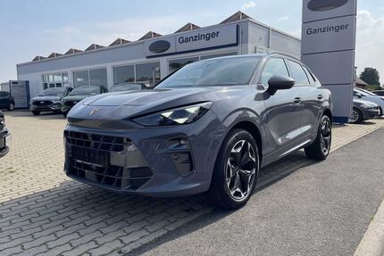 Cupra Terramar Gebrauchtwagen