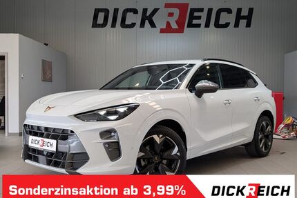 Cupra Terramar Gebrauchtwagen