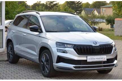 Skoda Karoq Gebrauchtwagen
