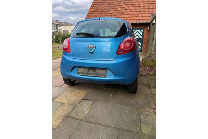 Ford Ka/Ka+ Gebrauchtwagen