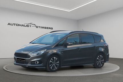 Ford S-Max Gebrauchtwagen