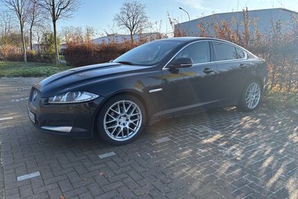 Jaguar XF Gebrauchtwagen