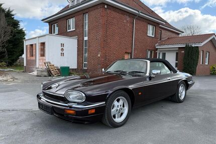 Jaguar XJS Gebrauchtwagen