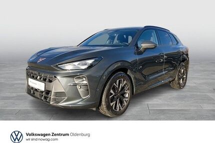 Cupra Terramar Gebrauchtwagen