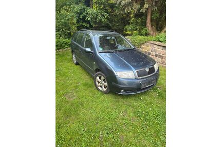 Skoda Fabia Gebrauchtwagen