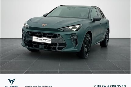 Cupra Terramar Gebrauchtwagen
