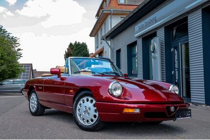Alfa Romeo Spider Gebrauchtwagen