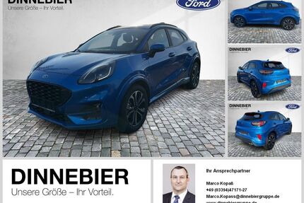 Ford Puma Gebrauchtwagen