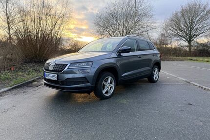 Skoda Karoq Gebrauchtwagen