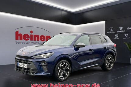 Cupra Terramar Gebrauchtwagen