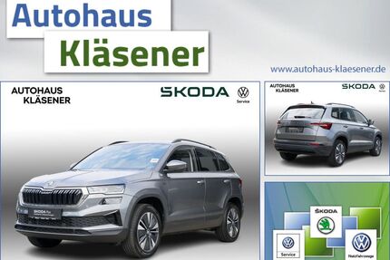 Skoda Karoq Gebrauchtwagen