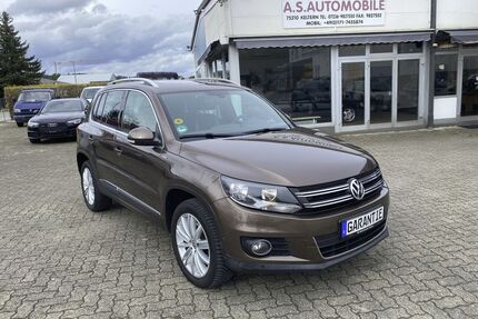 VW Tiguan Gebrauchtwagen