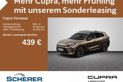 Cupra Terramar Gebrauchtwagen