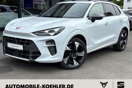 Cupra Terramar Gebrauchtwagen