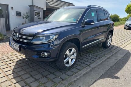 VW Tiguan Gebrauchtwagen