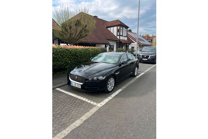 Jaguar XE Gebrauchtwagen