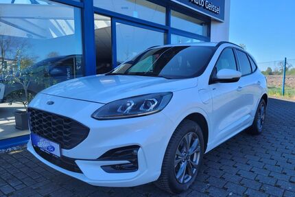Ford Kuga Gebrauchtwagen
