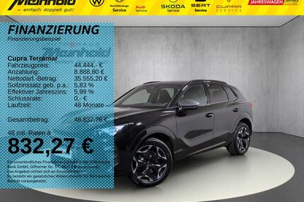 Cupra Terramar Gebrauchtwagen