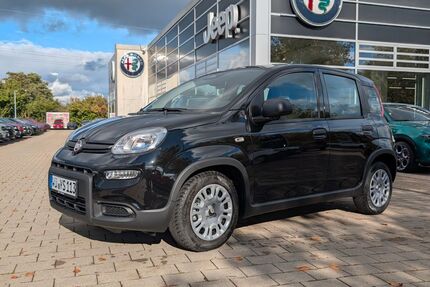 Fiat Panda Gebrauchtwagen