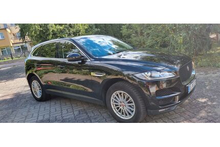 Jaguar F-Pace Gebrauchtwagen