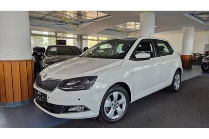 Skoda Fabia Gebrauchtwagen