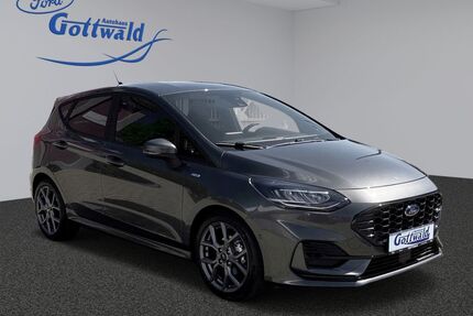 Ford Fiesta Gebrauchtwagen