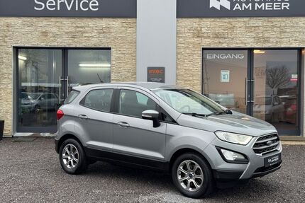 Ford EcoSport Gebrauchtwagen