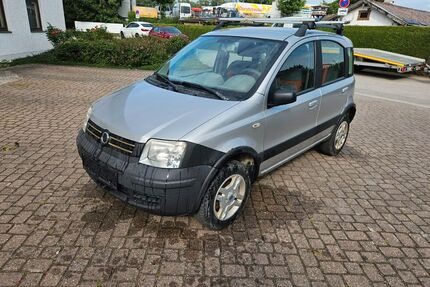 Fiat Panda Gebrauchtwagen