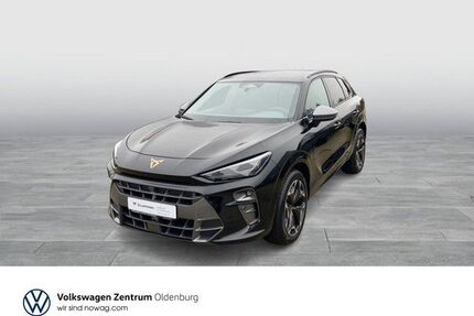 Cupra Terramar Gebrauchtwagen