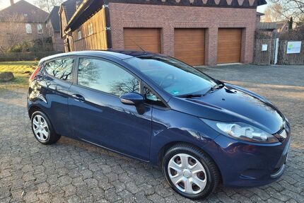 Ford Fiesta Gebrauchtwagen