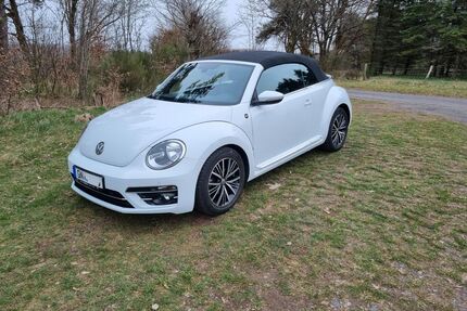 VW Beetle Gebrauchtwagen