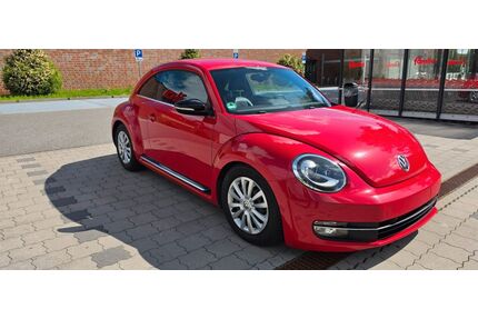 VW Beetle Gebrauchtwagen