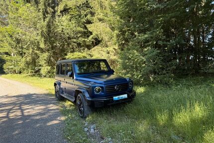 Mercedes-Benz G 450 Gebrauchtwagen