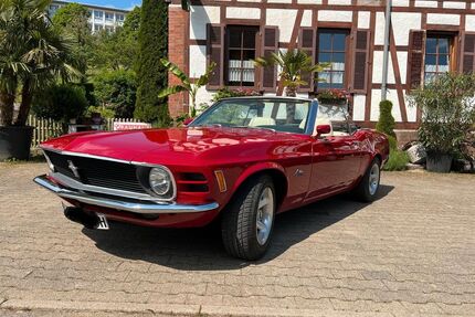 Ford Mustang Gebrauchtwagen