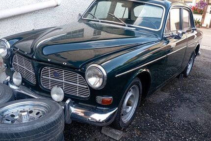 Volvo Amazon Gebrauchtwagen